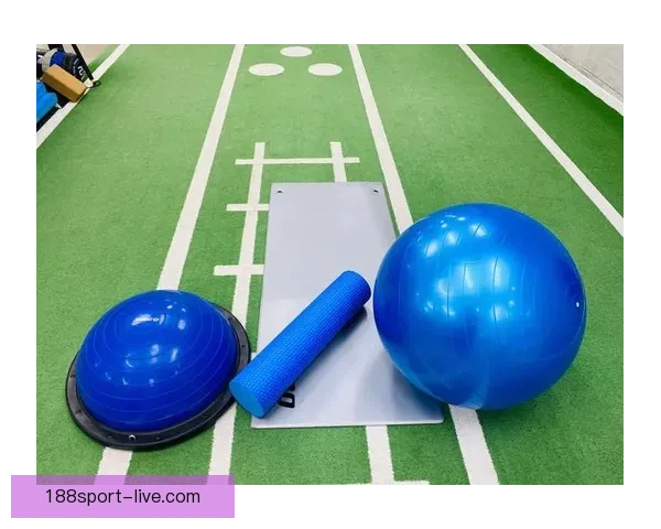 全面解析体育竞猜入口的优势与挑战 引领未来竞猜市场发展新趋势